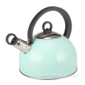 Stainless Steel Whistling Kettle with Handle in Green